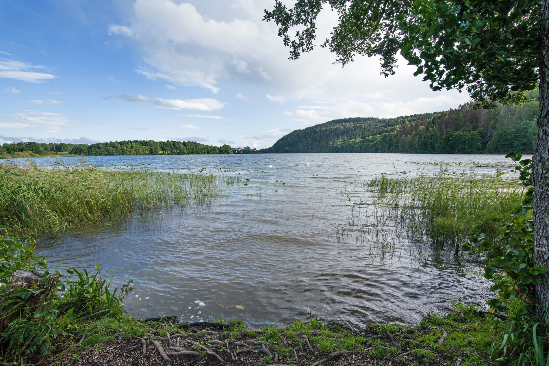 Sol og vind ved Stovivann