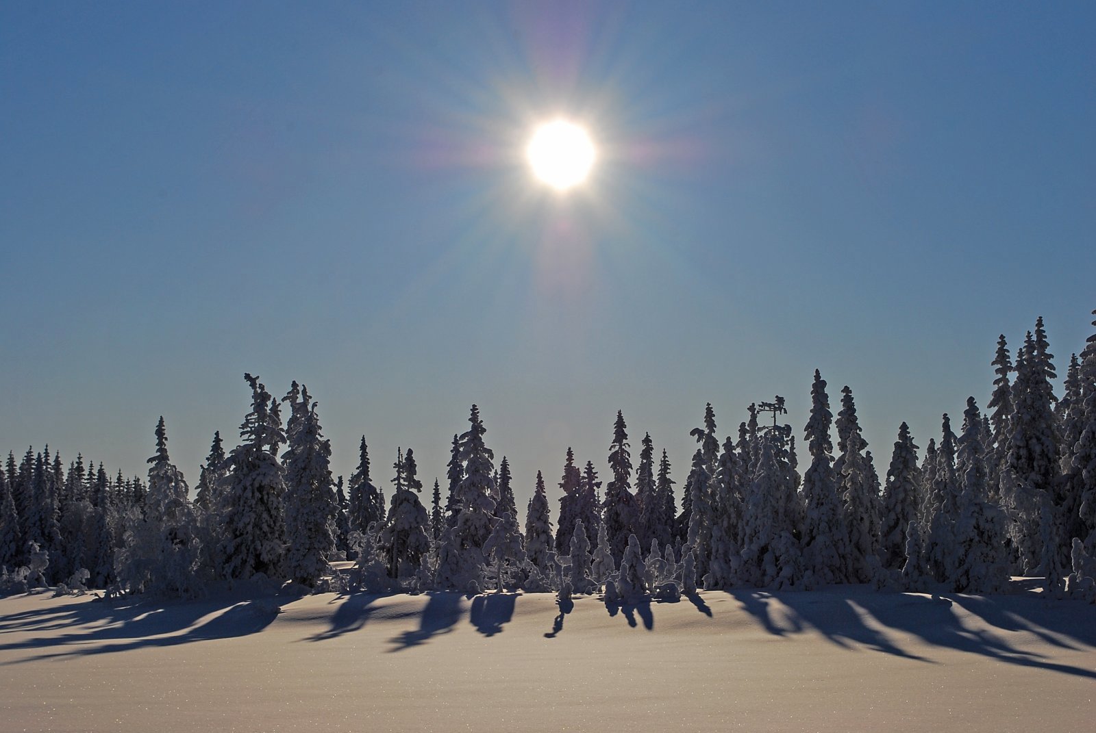 Sol over Abbortjennet