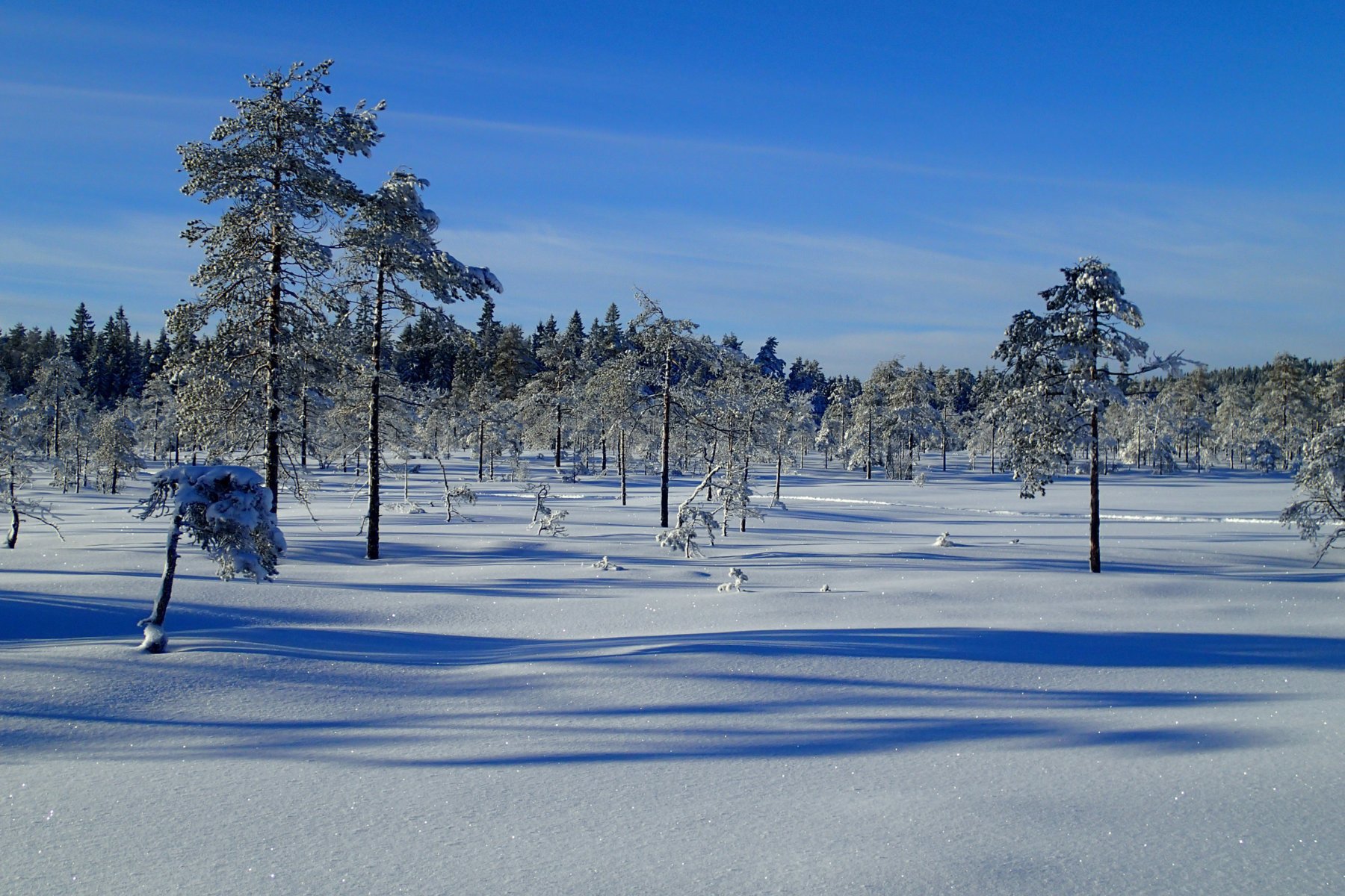 Sol på Høgmyra, tåke nede i bygda