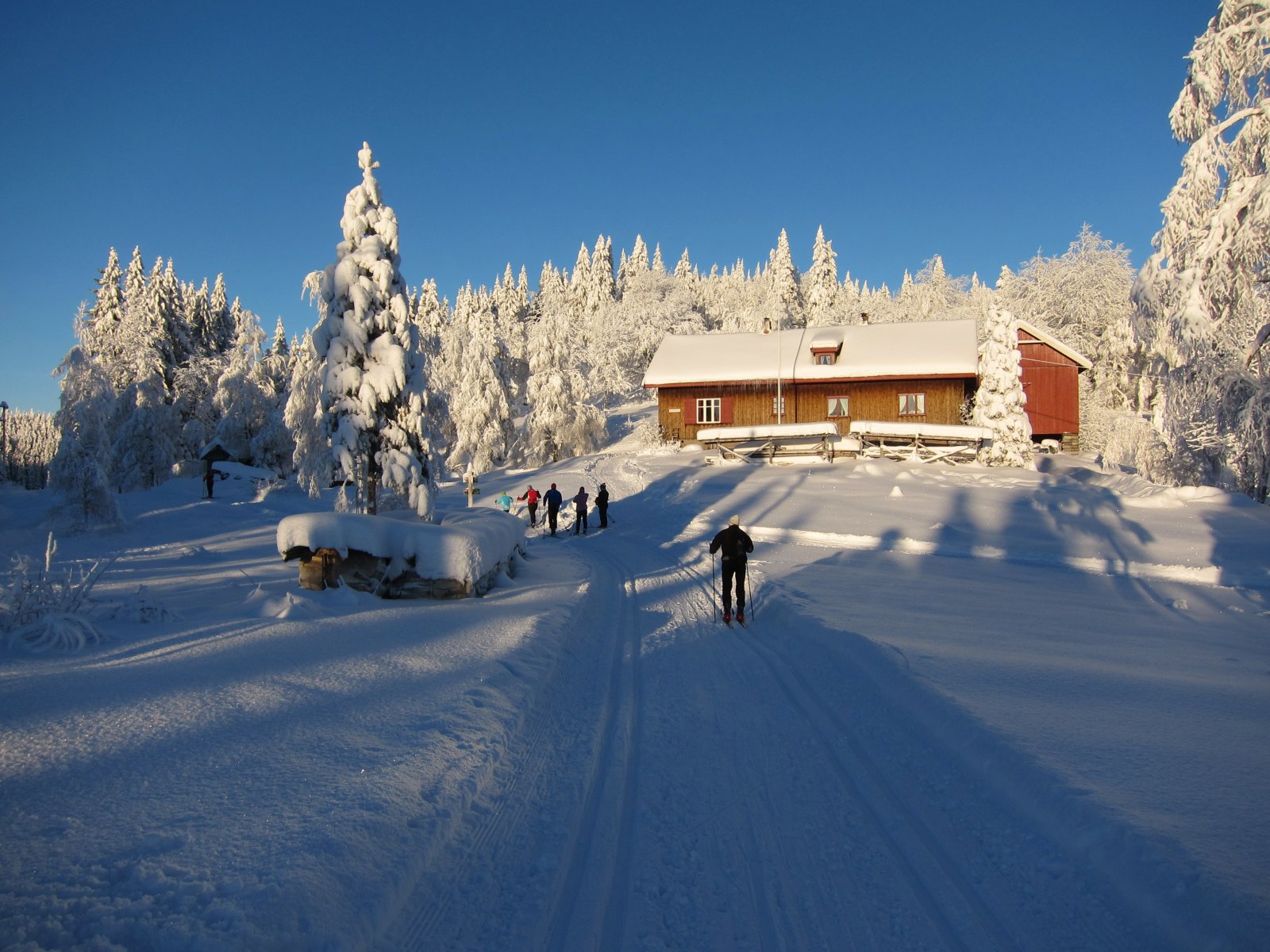 Sola skinner på Sørskogen
