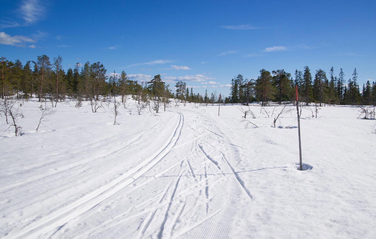 Solfull ettermiddag på Skillemyra