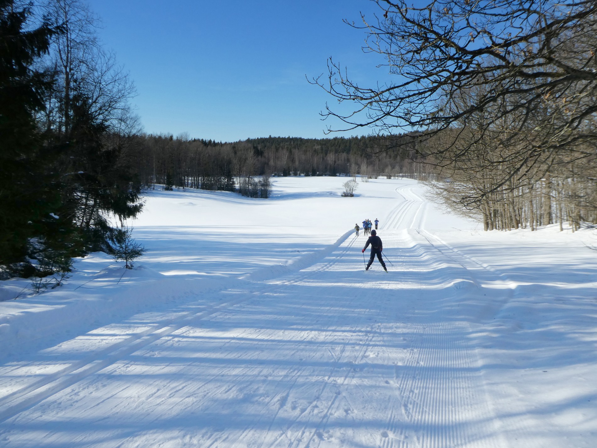 Solfylt over Røers innmark