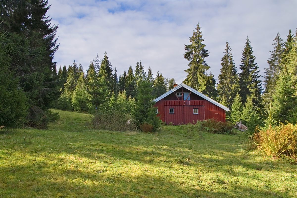 Solgløtt på Torgesetra