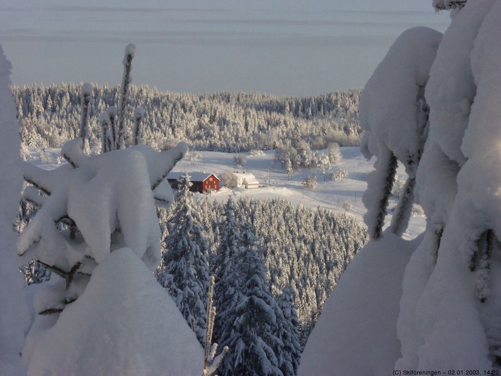 Solli gård i vintersol, sett fra Bøåsen