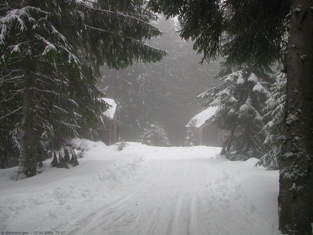 Sollibråtan ved Bøsetra