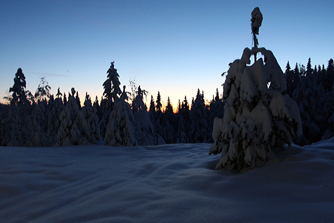 Solnedgang i lysløypa
