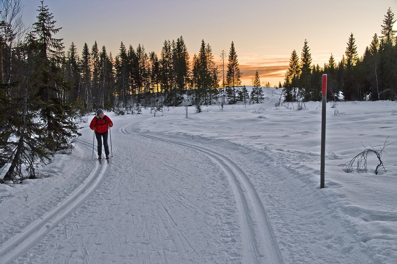 Solnedgang i Vestmarka