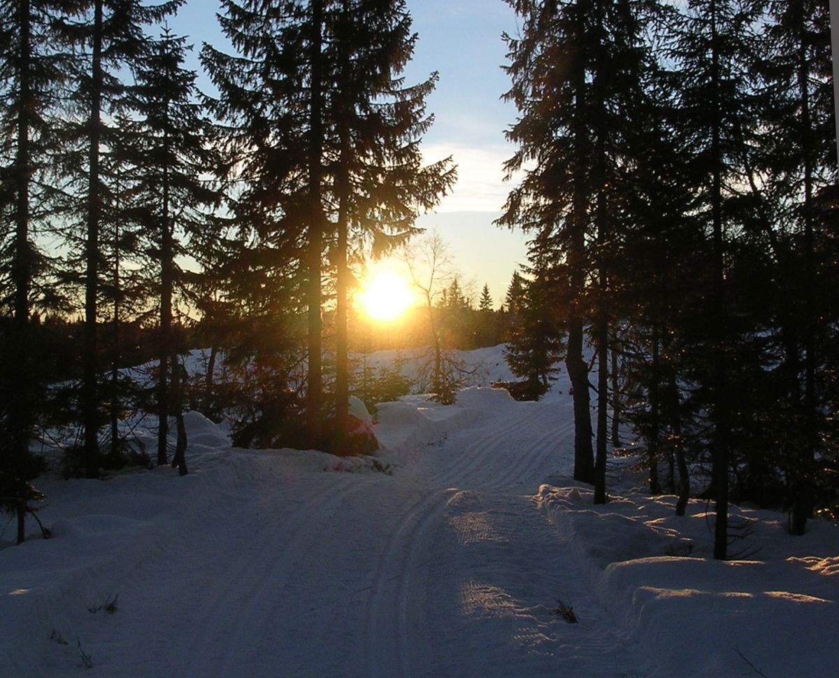 Solnedgang i Vestmarka på julaften