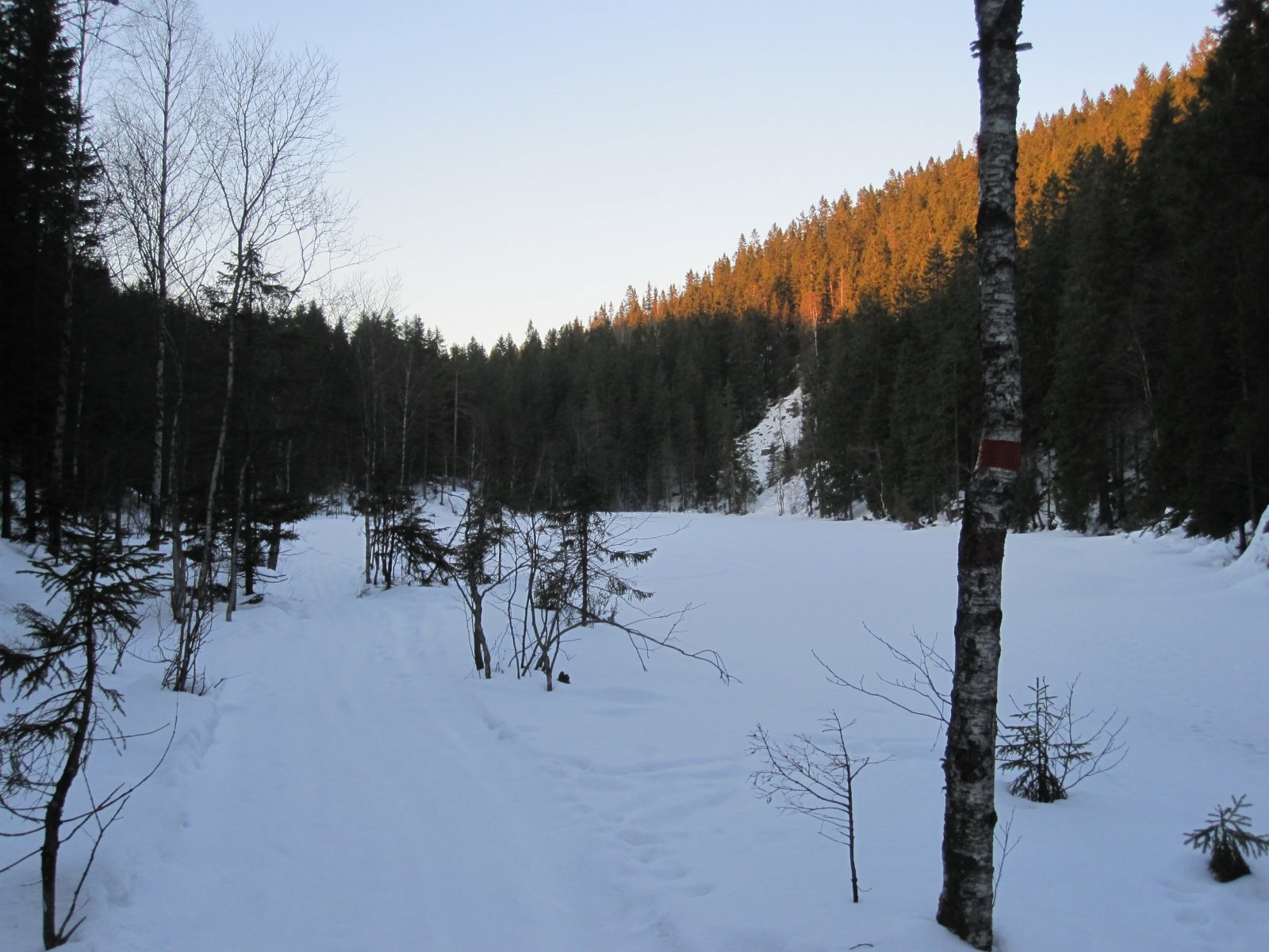 Solnedgang over Revlitjern