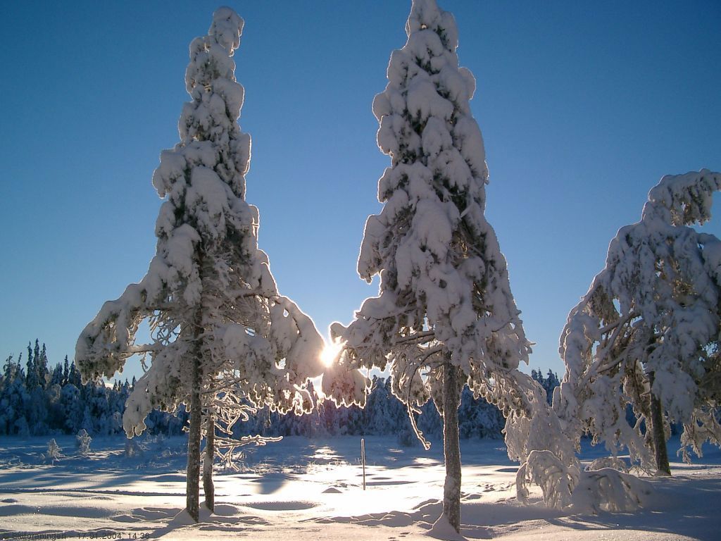 Solnedgang over Sætermyra