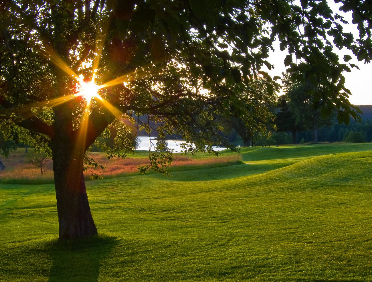 Solnedgang på Bogstad