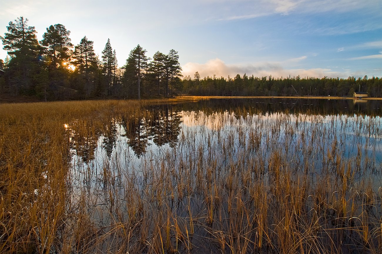 Solnedgang ved Svarttjern