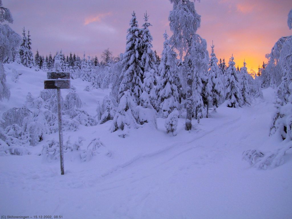 Soloppgang over Finnerudhøgda