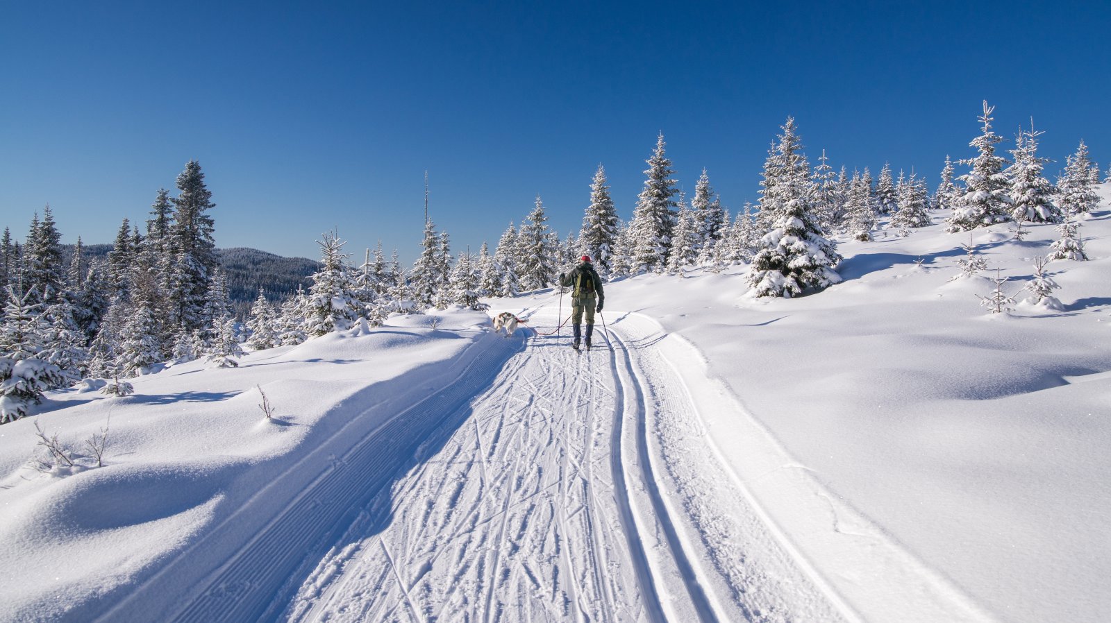 Solrik formiddag på Ballangrudsæterhøgda
