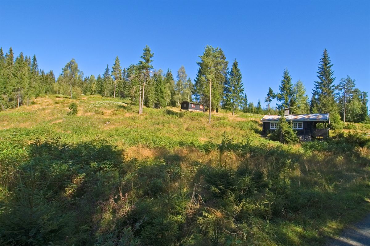 Solrik lørdag på setervollen