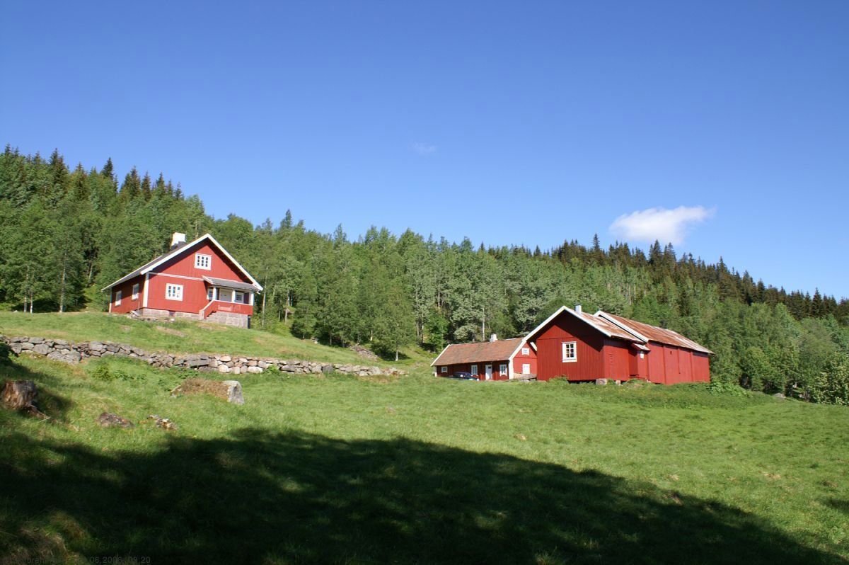 Solrik morgen på Finnstad