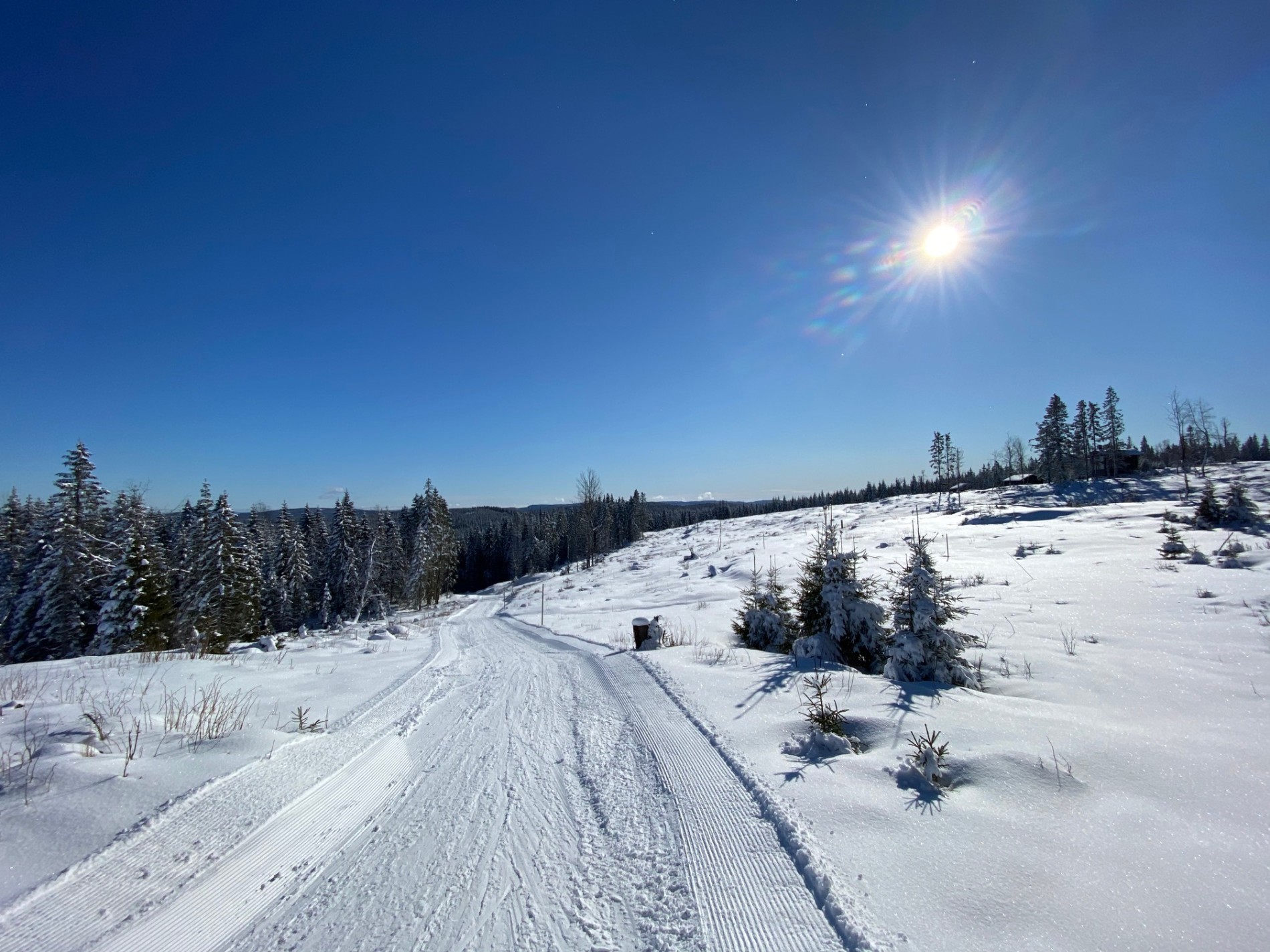 Solrikt ved Finneflakseter