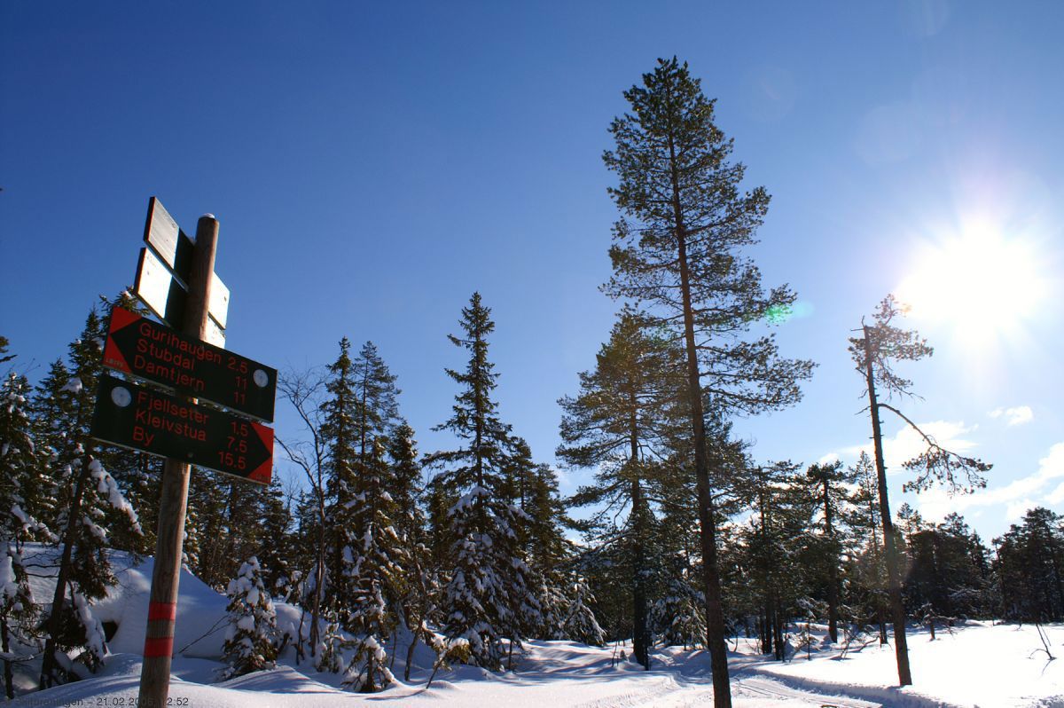 Solskinn over Gyrihaugflaka