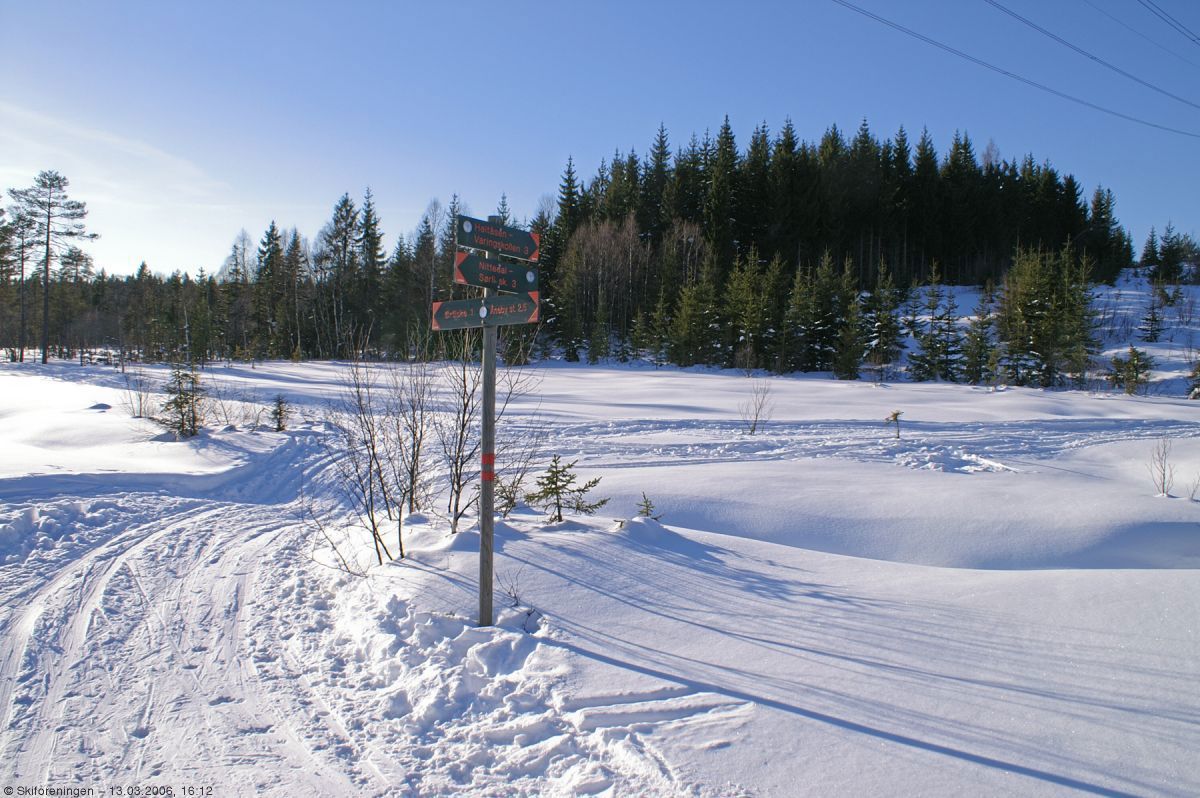 Solskinn over Svenskemyra