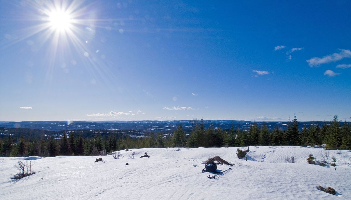 Solskinn over Vidvangen