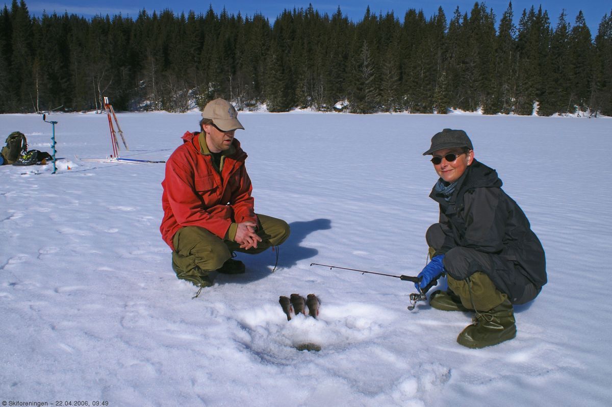 Solskinnsfiske på Grimsvann