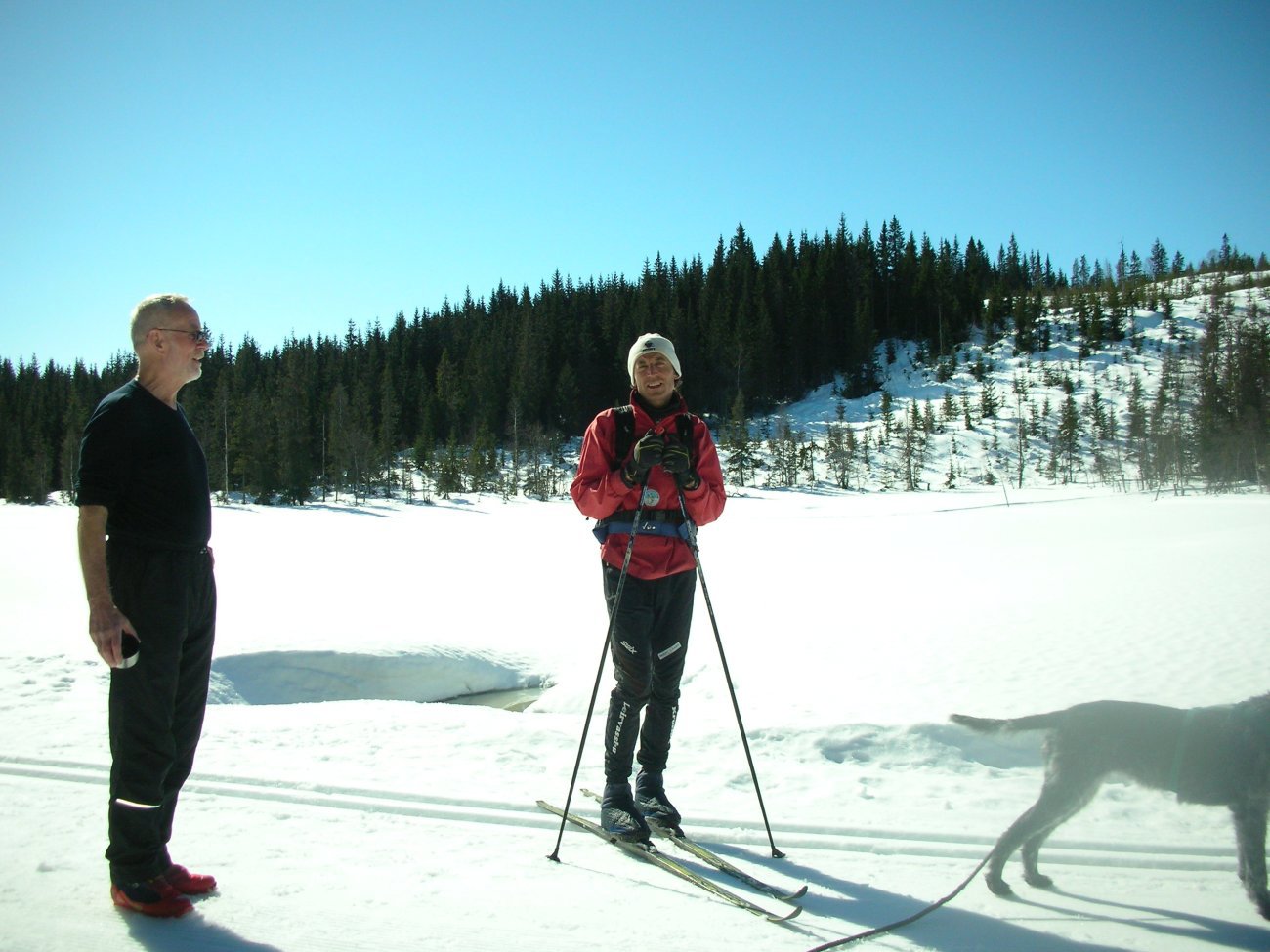 Solslikking ved Auretjern