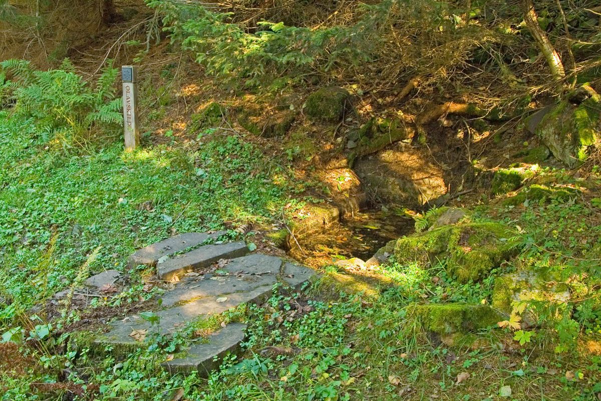 Solstråler i St. Olavs kilde