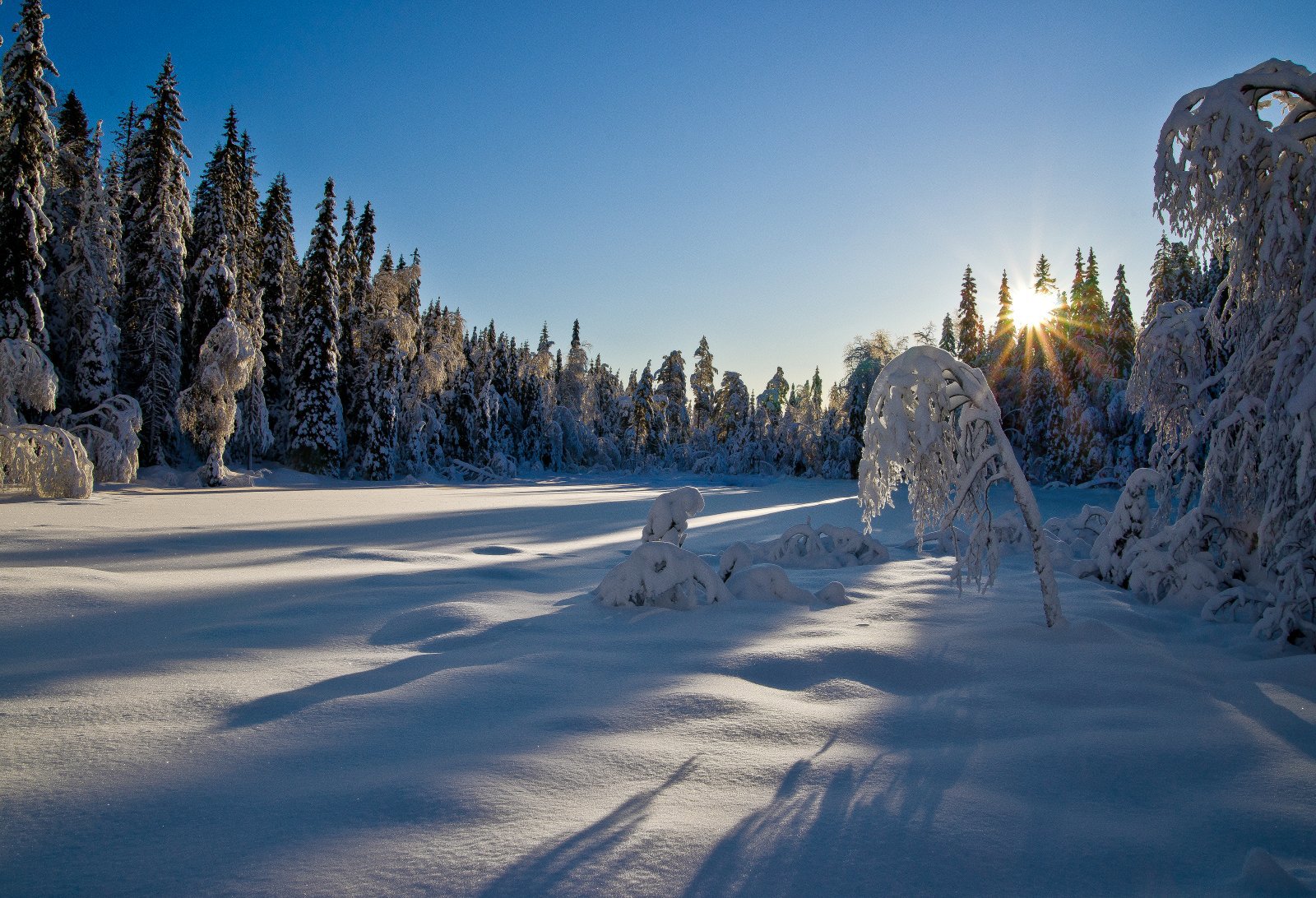 Solstråler langs grenadertraseen