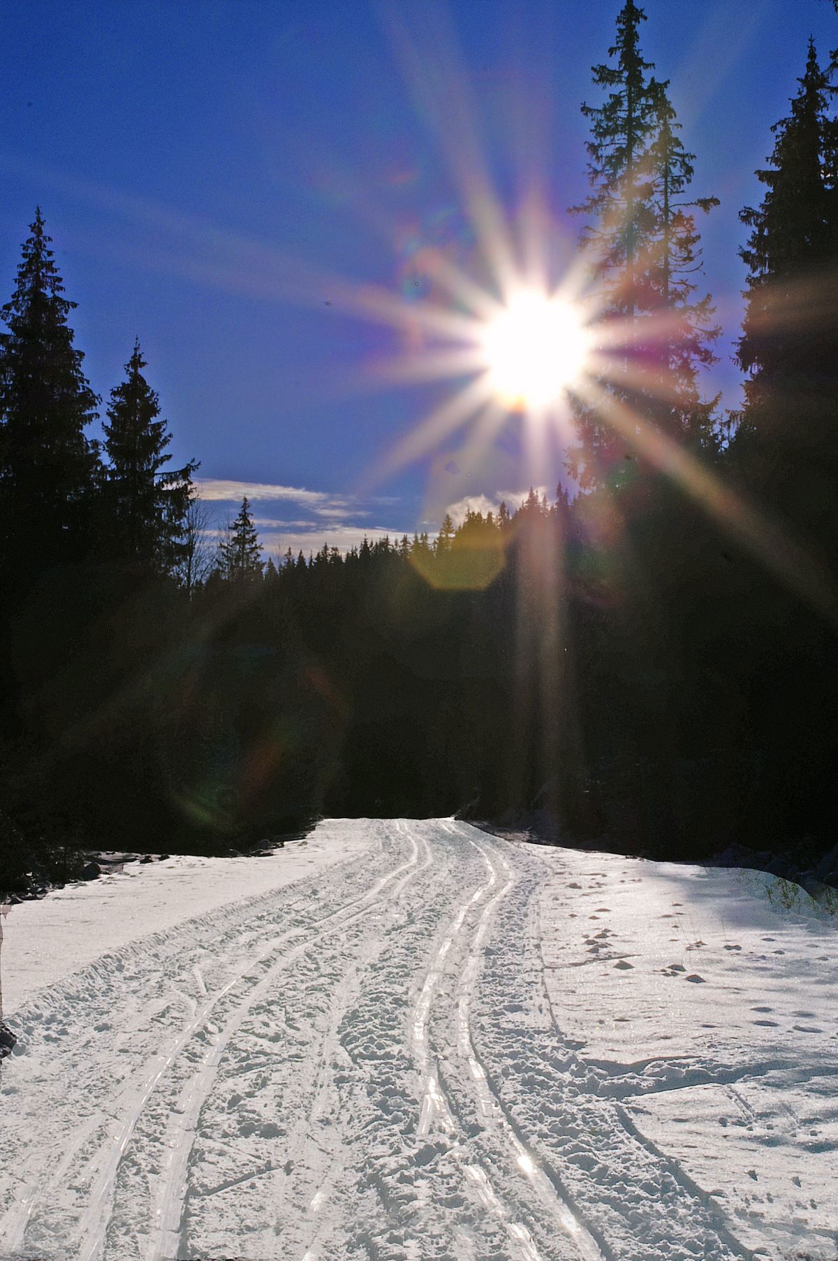 Solstråler på Spålsveien