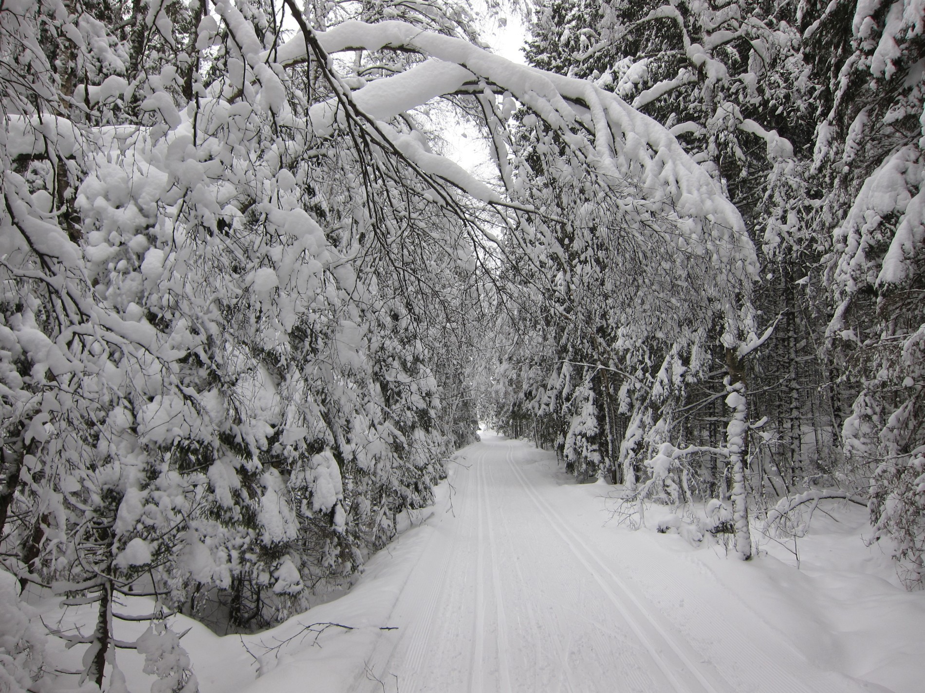 Som å gå i en tunnel av snø