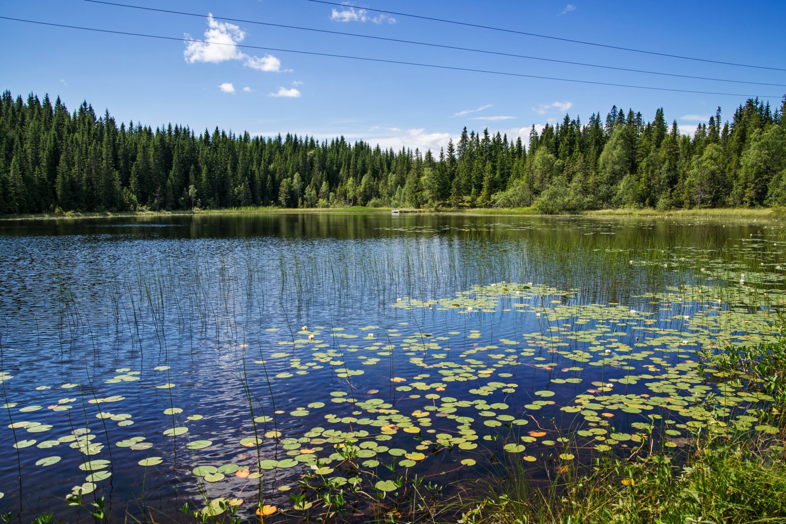 Sommer ved Karlstjernet