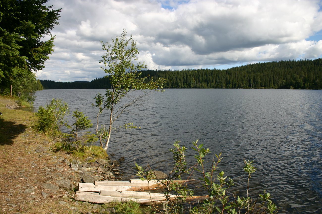 Sommer ved Langvatnet
