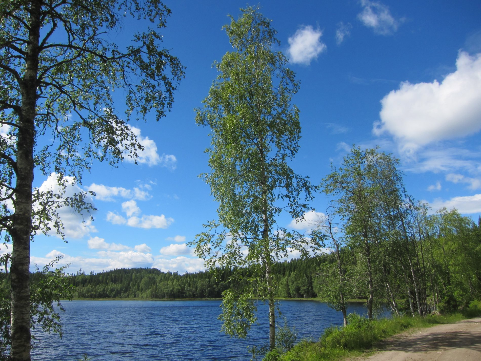 Sommer ved Nordre Morttjennet