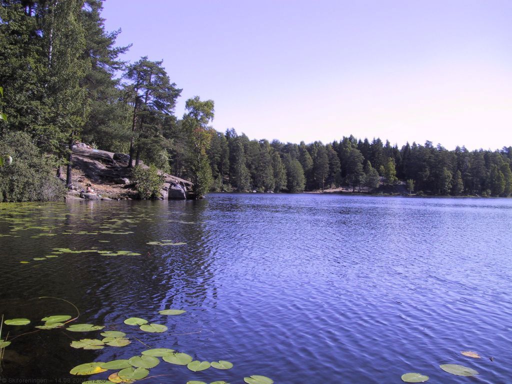 Sommer ved Ulsrudvannet