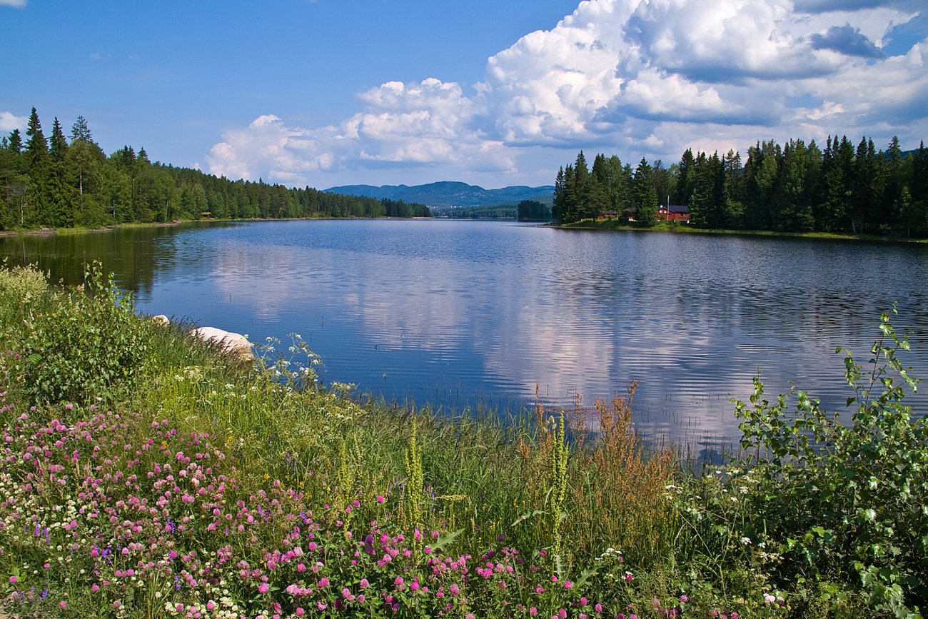 Sommerdag syd i Harestuvannet