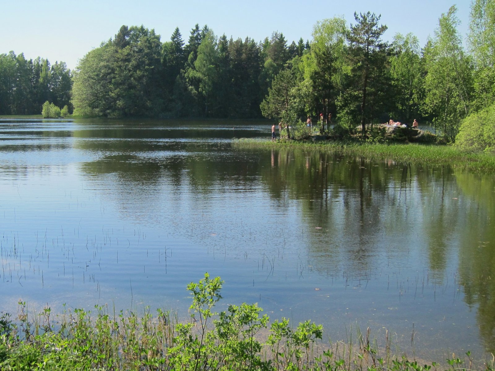 Sommerdag ved Gaupemyrdammen