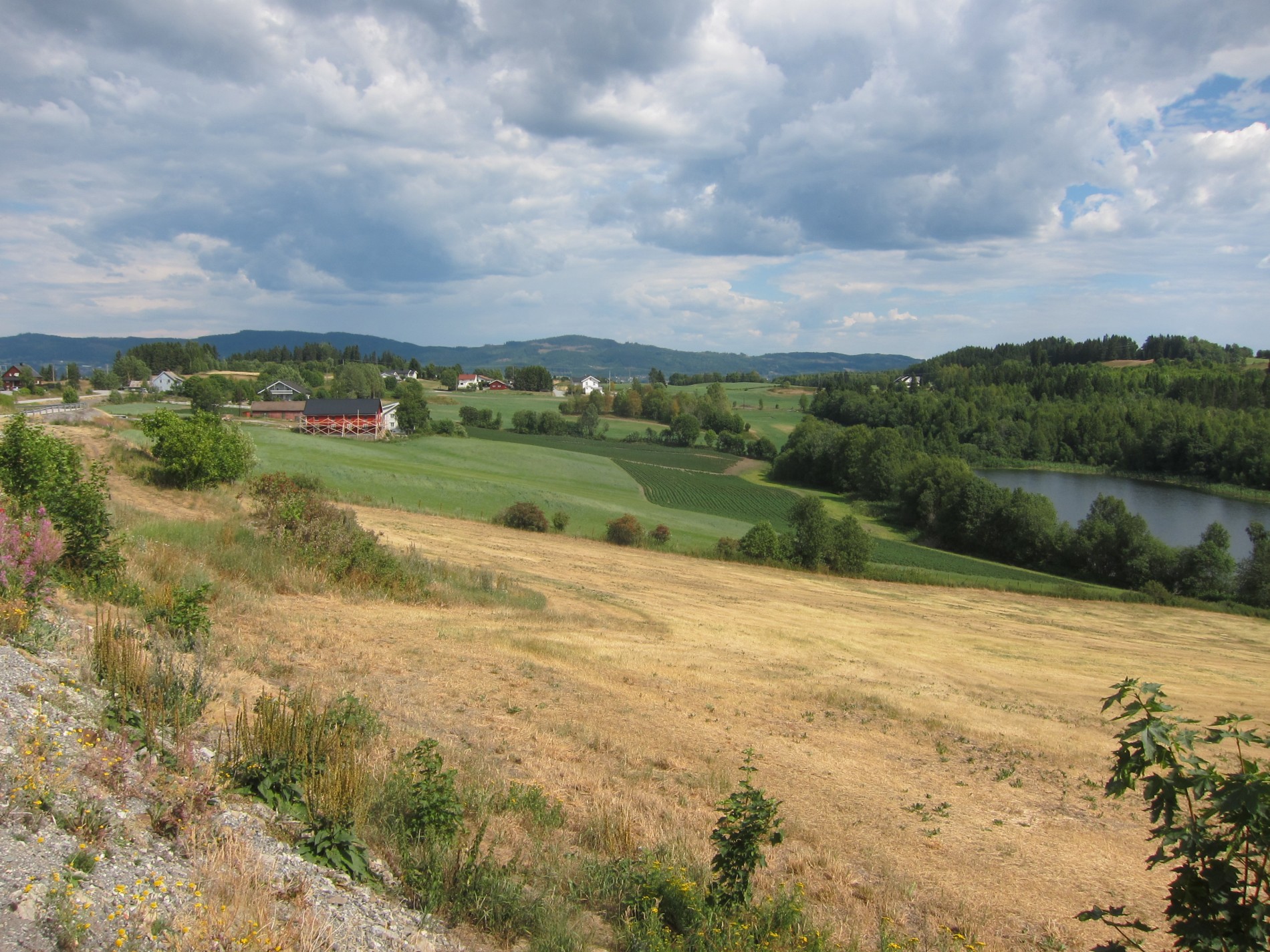 Sommerdag ved Granlund