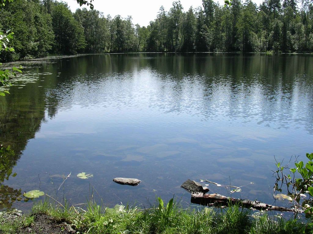 Sommerdag ved Steinstjern