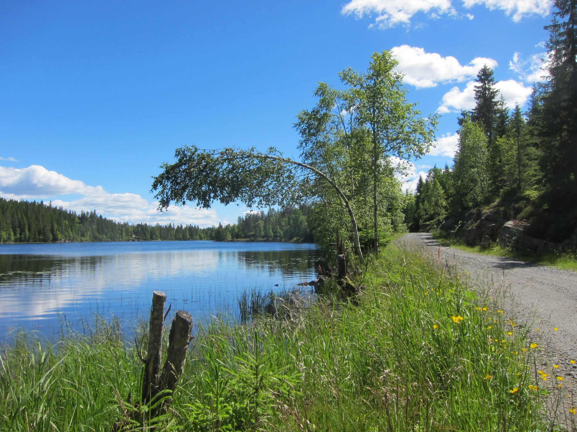 Sommerdag ved Store Byua