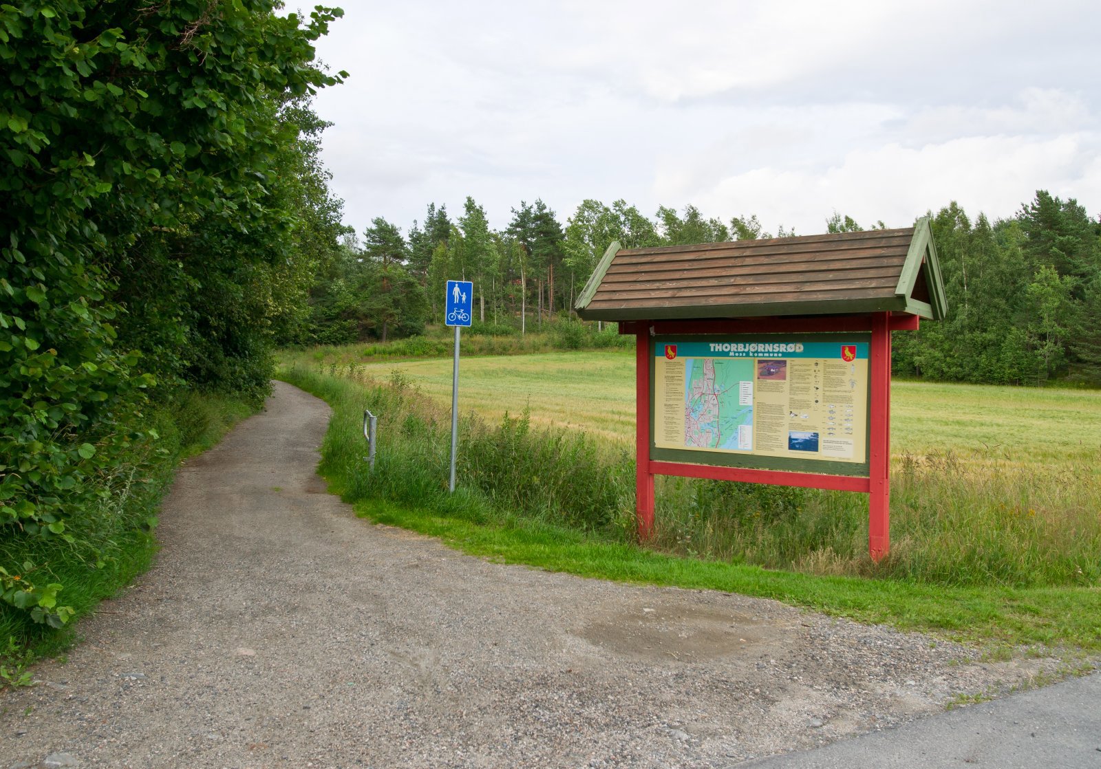 Sommerføre ved Thorbjørnsrød