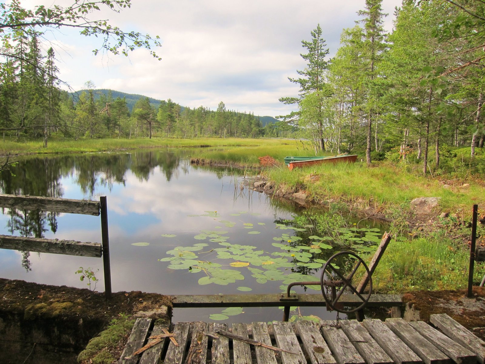 Sommeridyll ved Honsjøen