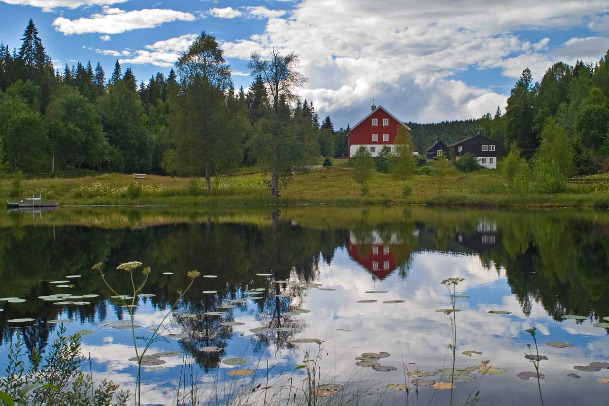 Sommerkveld ved Langebru