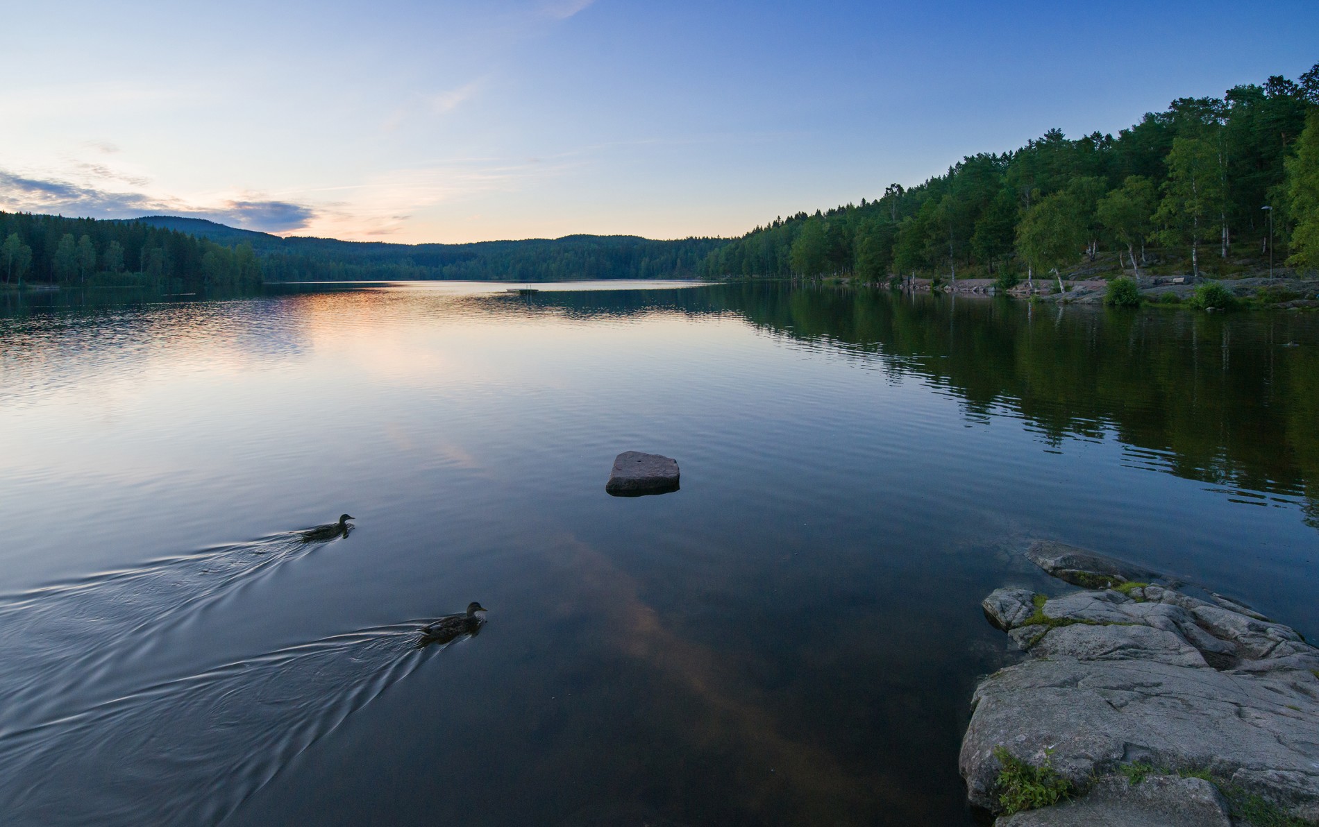 Sommerkveld ved Sognsvann