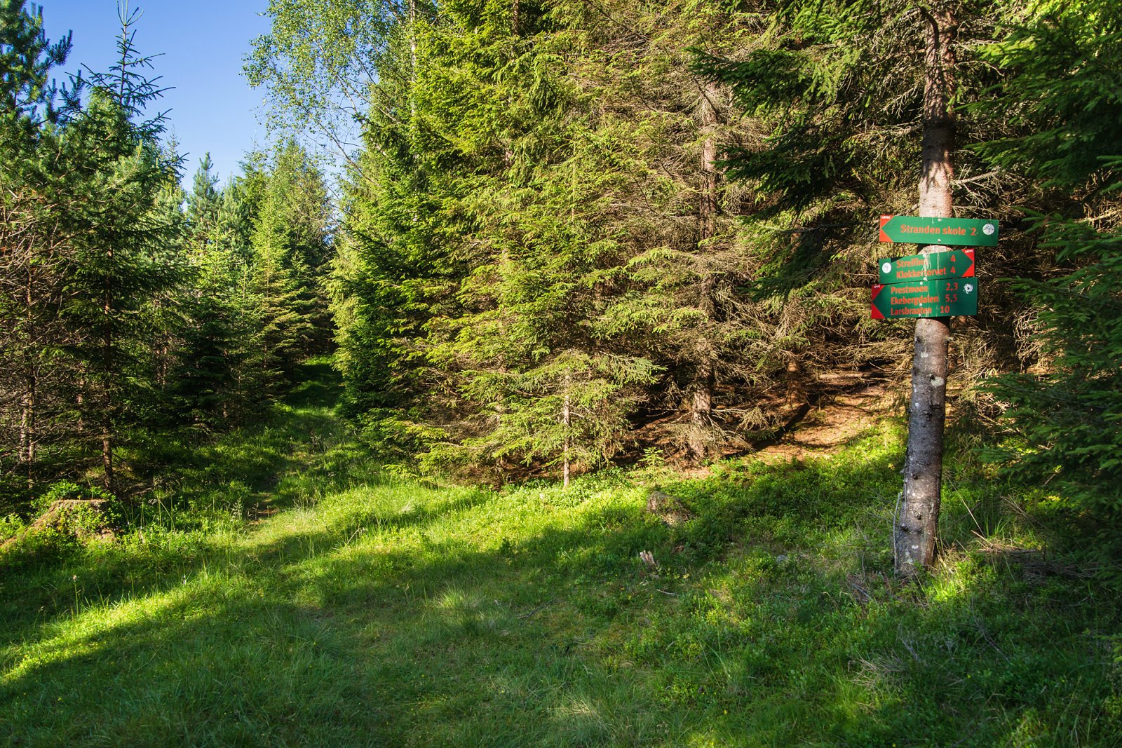 Sommerlig løypekryss