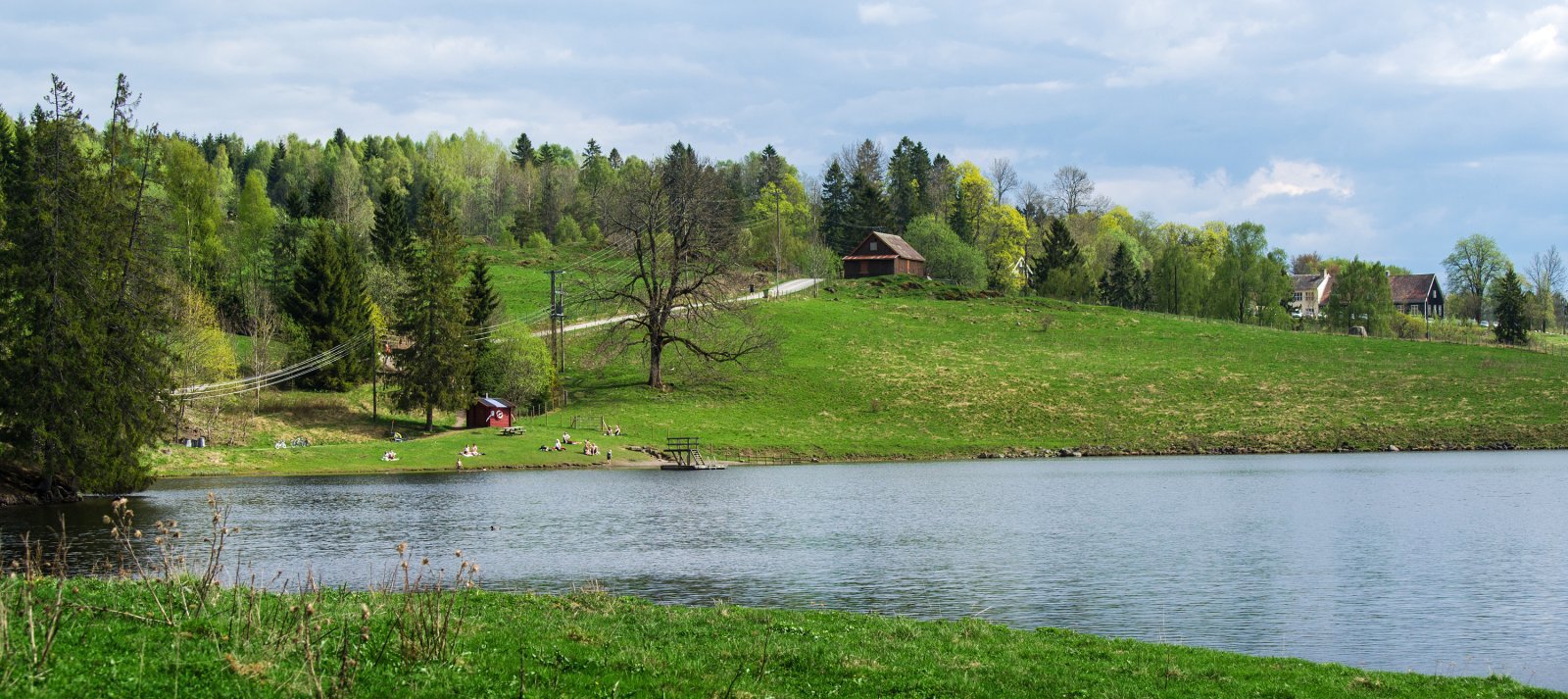 Sommerlige forhold i Tømmervika