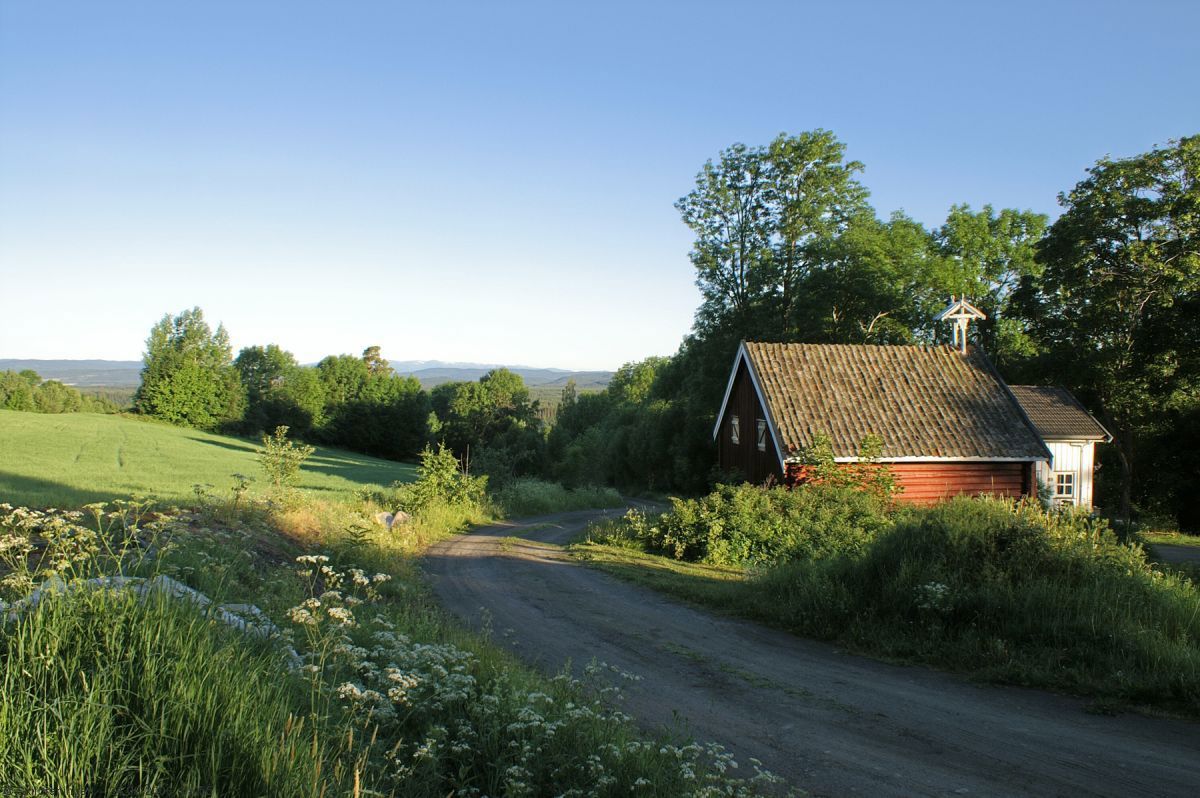 Sommermorgen på Gjørud
