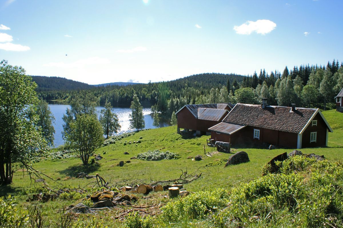 Sommermorgen ved Finnstad