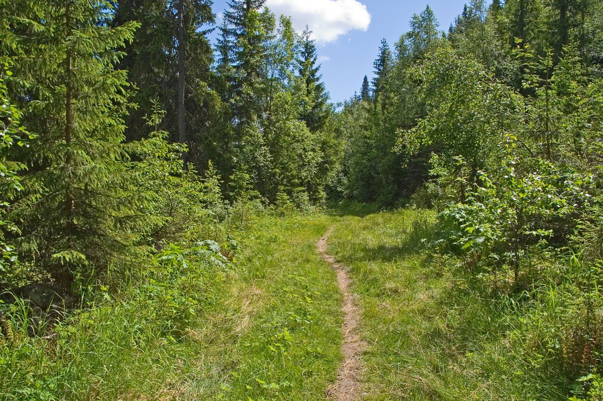 Sommersti gjennom Bjørnputtdalen