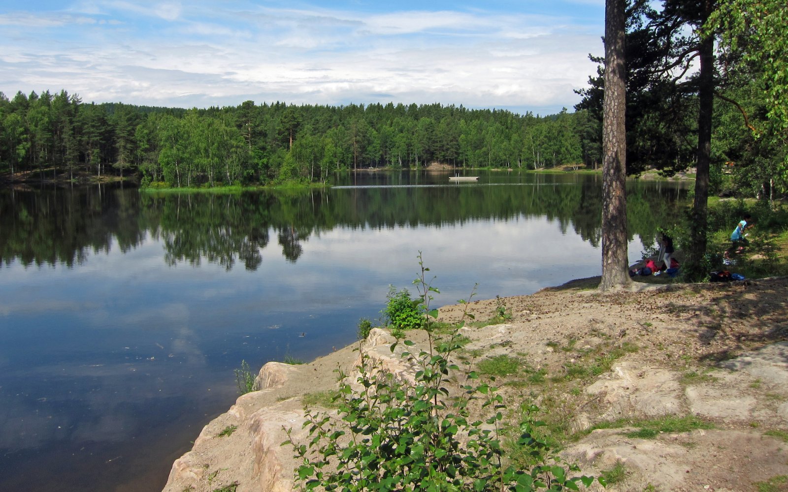 Sommerstille ved Vesletjern