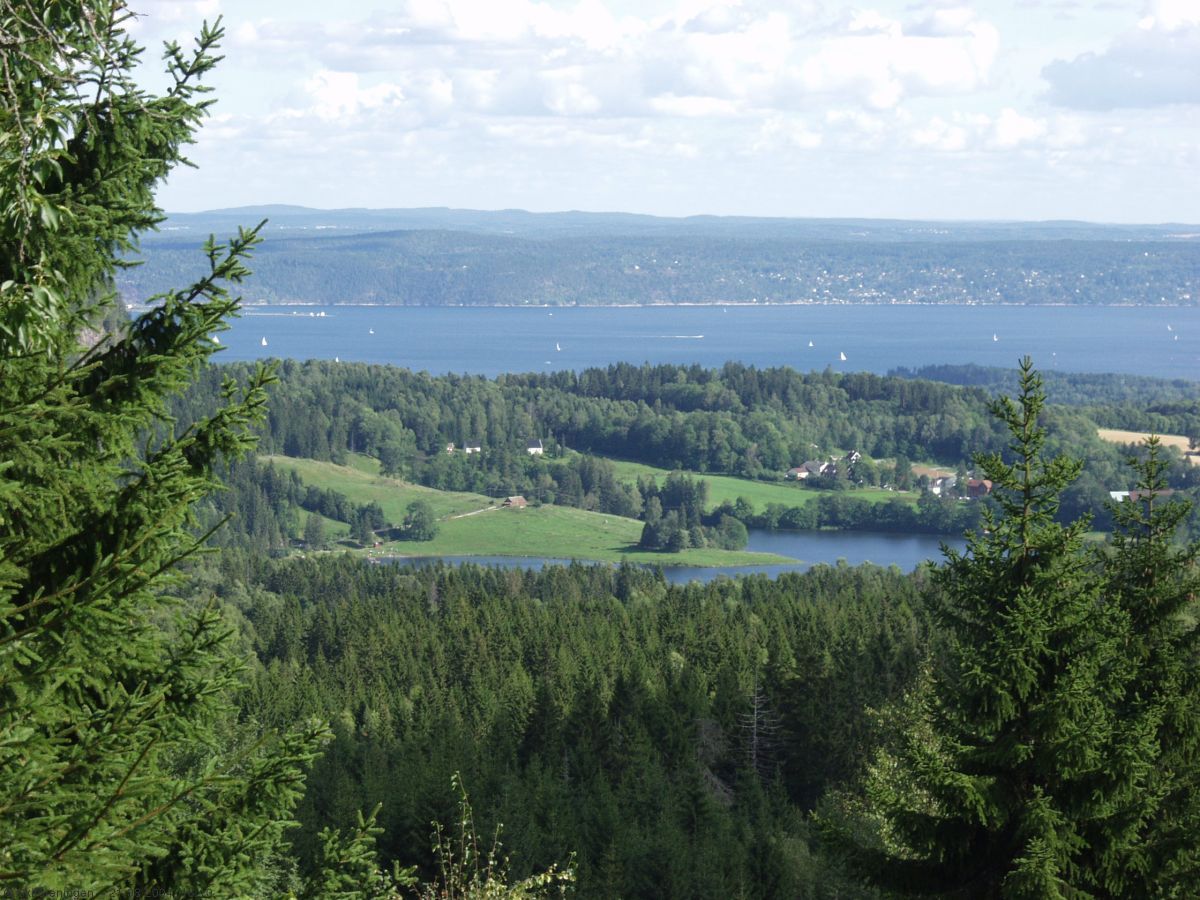 Sommerutsikt fra Tveitersetra